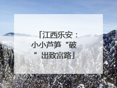 江西乐安：小小芦笋“破”出致富路