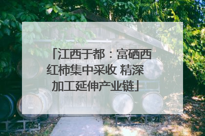 江西于都：富硒西红柿集中采收 精深加工延伸产业链