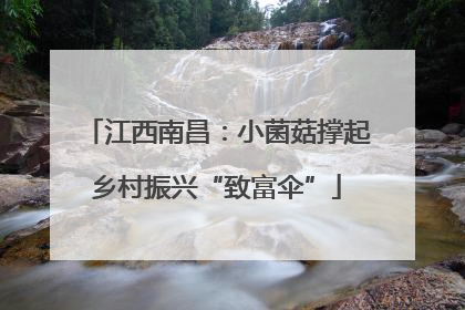 江西南昌：小菌菇撑起乡村振兴“致富伞”