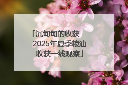 沉甸甸的收获——2025年夏季粮油收获一线观察