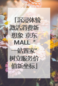 沉浸体验激活消费新想象 京东MALL“一站置家”树立服务价值新坐标