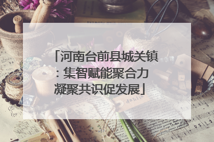 河南台前县城关镇：集智赋能聚合力 凝聚共识促发展
