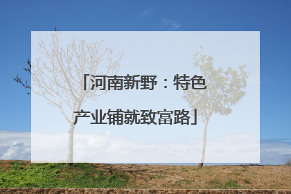 河南新野：特色产业铺就致富路