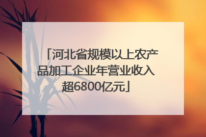 河北省规模以上农产品加工企业年营业收入超6800亿元