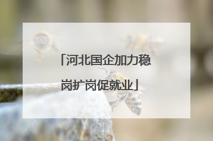 河北国企加力稳岗扩岗促就业
