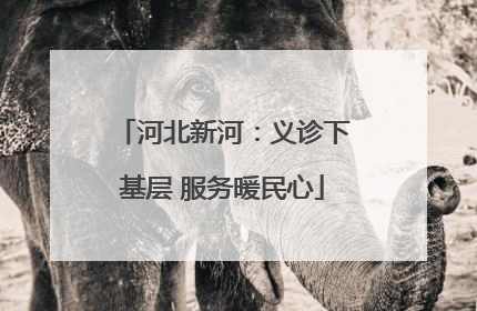 河北新河：义诊下基层 服务暖民心
