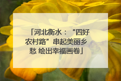 河北衡水：“四好农村路”串起美丽乡愁 绘出幸福画卷