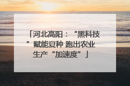 河北高阳：“黑科技”赋能夏种 跑出农业生产“加速度”