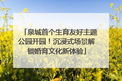泉城首个生育友好主题公园开园！沉浸式场景解锁婚育文化新体验