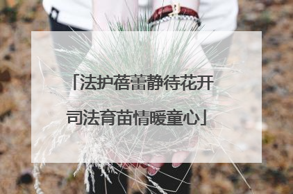 法护蓓蕾静待花开 司法育苗情暖童心