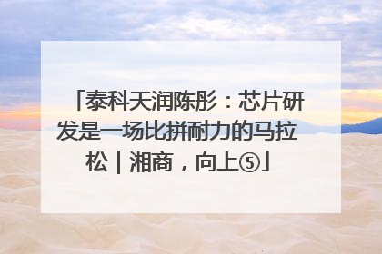泰科天润陈彤：芯片研发是一场比拼耐力的马拉松｜湘商，向上⑤