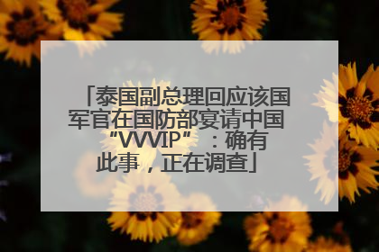 泰国副总理回应该国军官在国防部宴请中国“VVVIP”：确有此事，正在调查