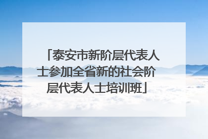 泰安市新阶层代表人士参加全省新的社会阶层代表人士培训班