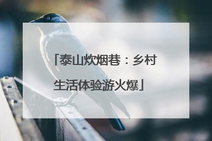 泰山炊烟巷：乡村生活体验游火爆