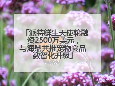派特鲜生天使轮融资2500万美元，与海鼎共推宠物食品数智化升级