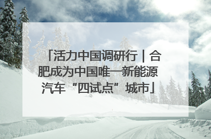 活力中国调研行｜合肥成为中国唯一新能源汽车“四试点”城市