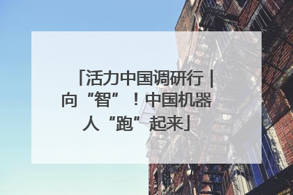 活力中国调研行｜向“智”！中国机器人“跑”起来