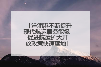 洋浦港不断提升现代航运服务能级 促进航运扩大开放政策快速落地