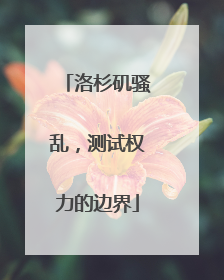 洛杉矶骚乱，测试权力的边界