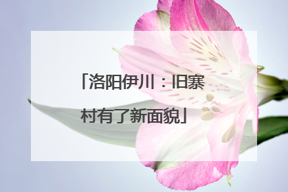 洛阳伊川：旧寨村有了新面貌