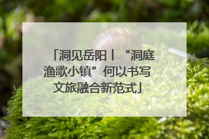 洞见岳阳丨“洞庭渔歌小镇”何以书写文旅融合新范式