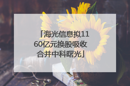 海光信息拟1160亿元换股吸收合并中科曙光