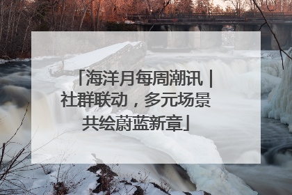 海洋月每周潮讯｜社群联动，多元场景共绘蔚蓝新章