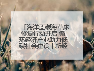 海洋蓝碳海草床修复行动开启 循环经济产业助力低碳社会建设丨新经济观察