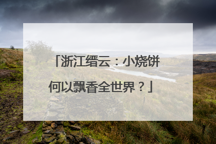 浙江缙云：小烧饼何以飘香全世界？