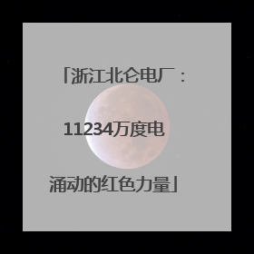 浙江北仑电厂：11234万度电涌动的红色力量