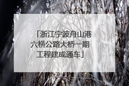 浙江宁波舟山港六横公路大桥一期工程建成通车