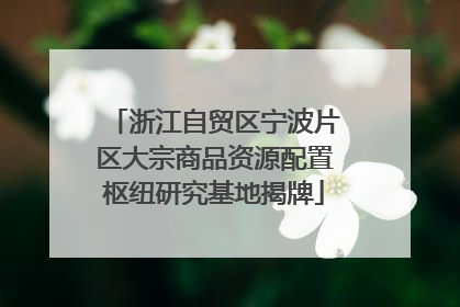浙江自贸区宁波片区大宗商品资源配置枢纽研究基地揭牌