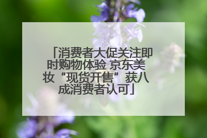 消费者大促关注即时购物体验 京东美妆“现货开售”获八成消费者认可
