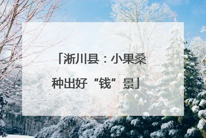 淅川县：小果桑种出好“钱”景