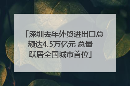 深圳去年外贸进出口总额达4.5万亿元 总量跃居全国城市首位