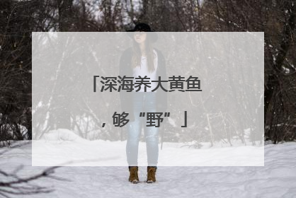 深海养大黄鱼，够“野”