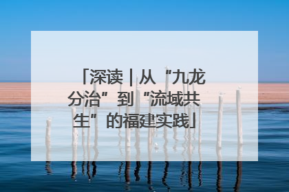 深读｜从“九龙分治”到“流域共生”的福建实践