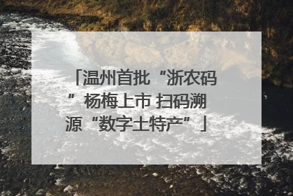 温州首批“浙农码”杨梅上市 扫码溯源“数字土特产”