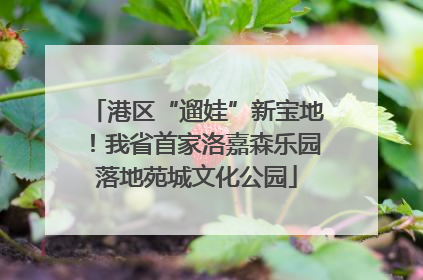 港区“遛娃”新宝地！我省首家洛嘉森乐园落地苑城文化公园