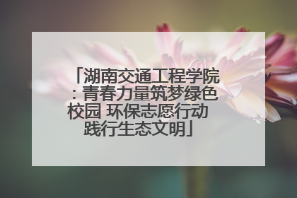 湖南交通工程学院：青春力量筑梦绿色校园 环保志愿行动践行生态文明