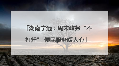 湖南宁远：周末政务“不打烊” 便民服务暖人心