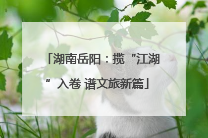 湖南岳阳：揽“江湖”入卷 谱文旅新篇