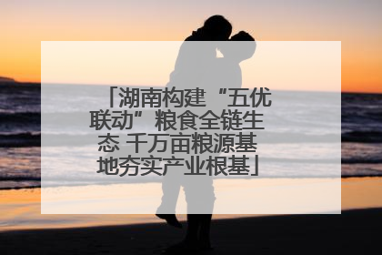 湖南构建“五优联动”粮食全链生态 千万亩粮源基地夯实产业根基