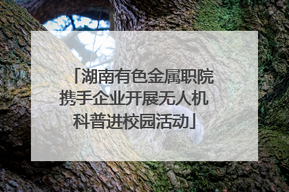湖南有色金属职院携手企业开展无人机科普进校园活动