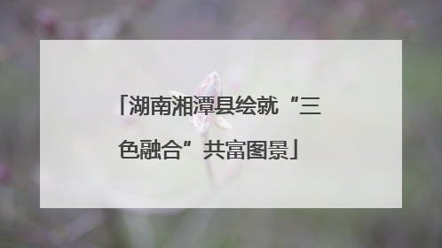 湖南湘潭县绘就“三色融合”共富图景