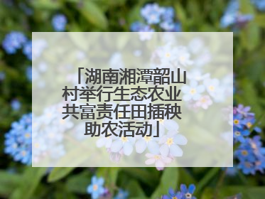 湖南湘潭韶山村举行生态农业共富责任田插秧助农活动
