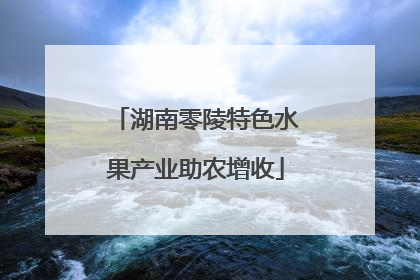 湖南零陵特色水果产业助农增收