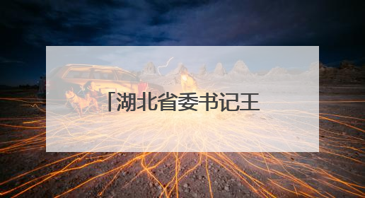 湖北省委书记王忠林会见中国电信总经理刘桂清