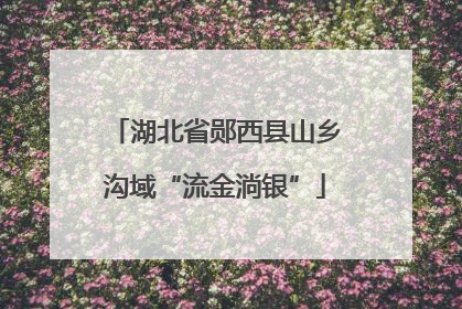 湖北省郧西县山乡沟域“流金淌银”