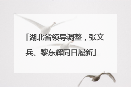 湖北省领导调整，张文兵、黎东辉同日履新